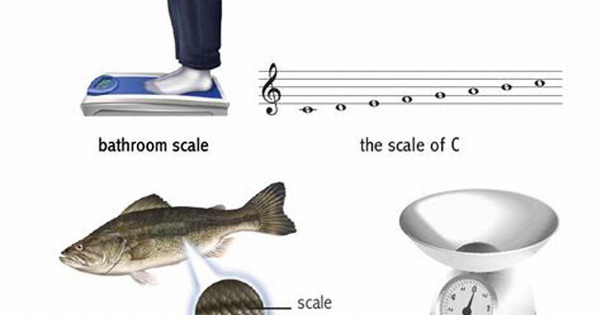 Does Scale Mean Climb?