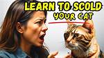 Does Scolding Your Cat Work?
