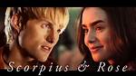 Does Scorpius Like Rose?