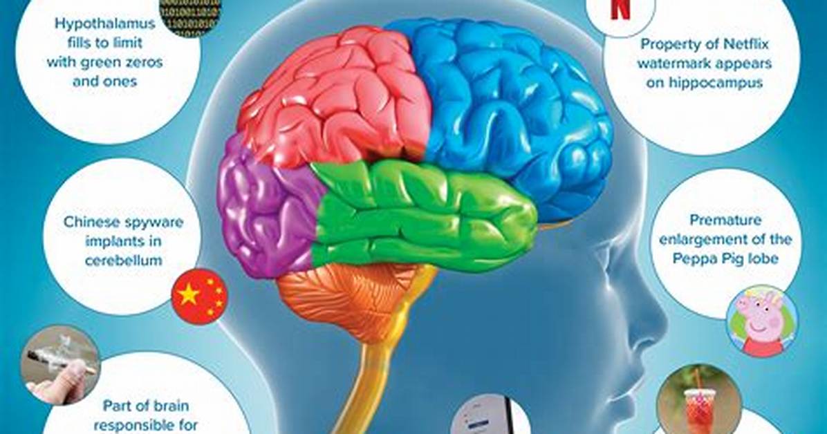 Does Screen Time Kill Brain Cells?
