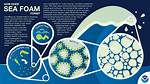 Does Seafoam Do Anything