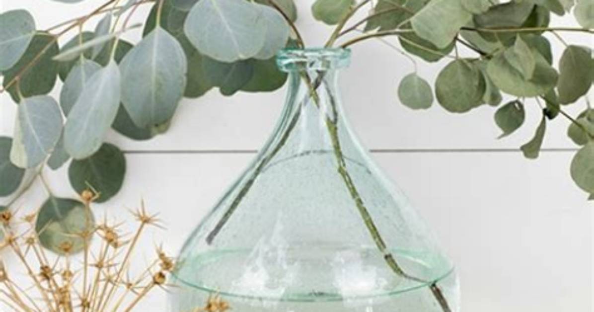 Does Seeded Eucalyptus Dry Well?