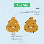 Does Seedy Mean Sleazy?