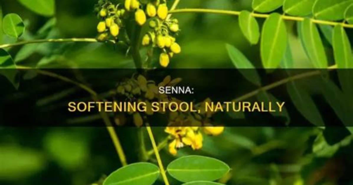 Does Senna Soften Stool?