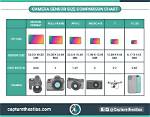 Does Sensor Size Affect Image Quality?