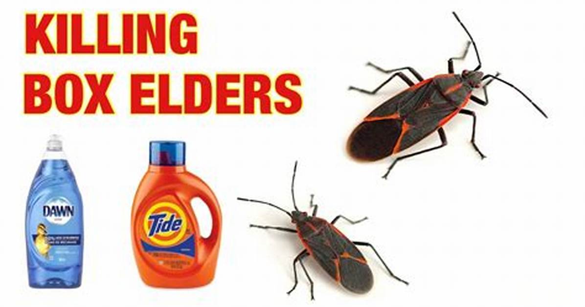 Does Sevin Kill Box Elder Bugs