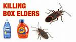 Does Sevin Kill Box Elder Bugs