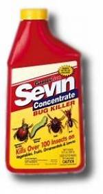 Does Sevin Kill Codling Moth?