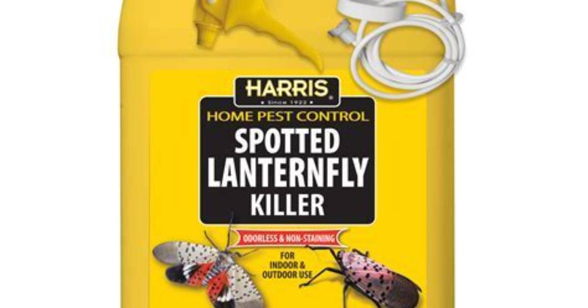 Does Sevin Kill Lanternflies?