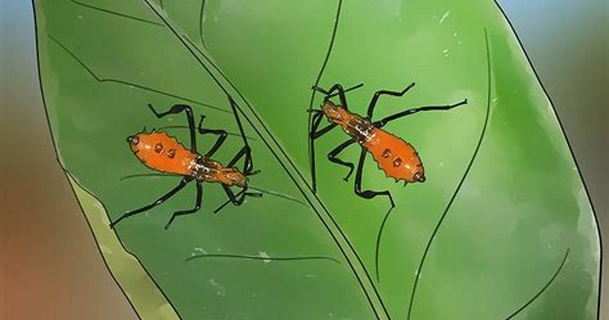 Does Sevin Kill Leaf Footed Bug?