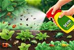 Does Sevin Kill Wireworms?