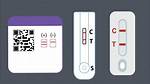 Does Sfo Require Covid Test?