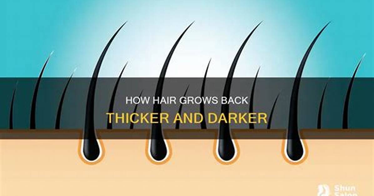 Does Shaving Cause Blackness?