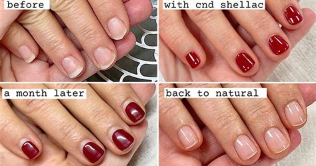 Does Shellac Go Bad