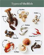Does Shellfish Have Zinc?