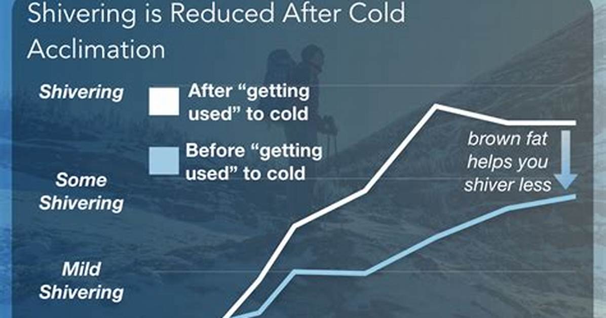Does Shivering Burn Fat