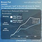 Does Shivering Burn Fat