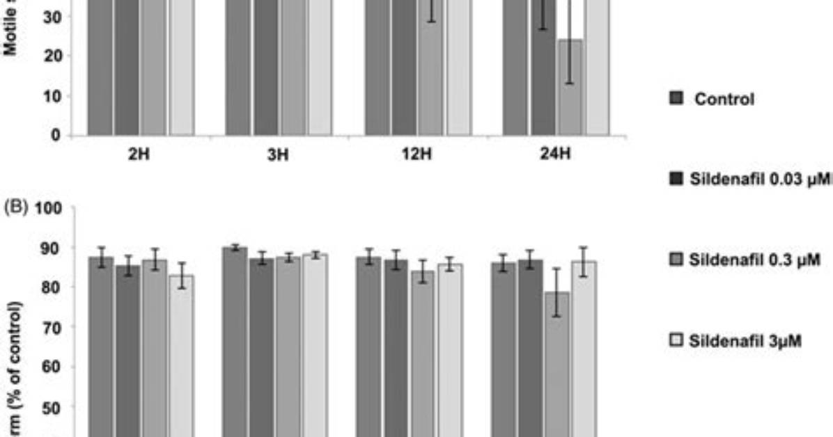 Does Sildenafil Affect Sperm?