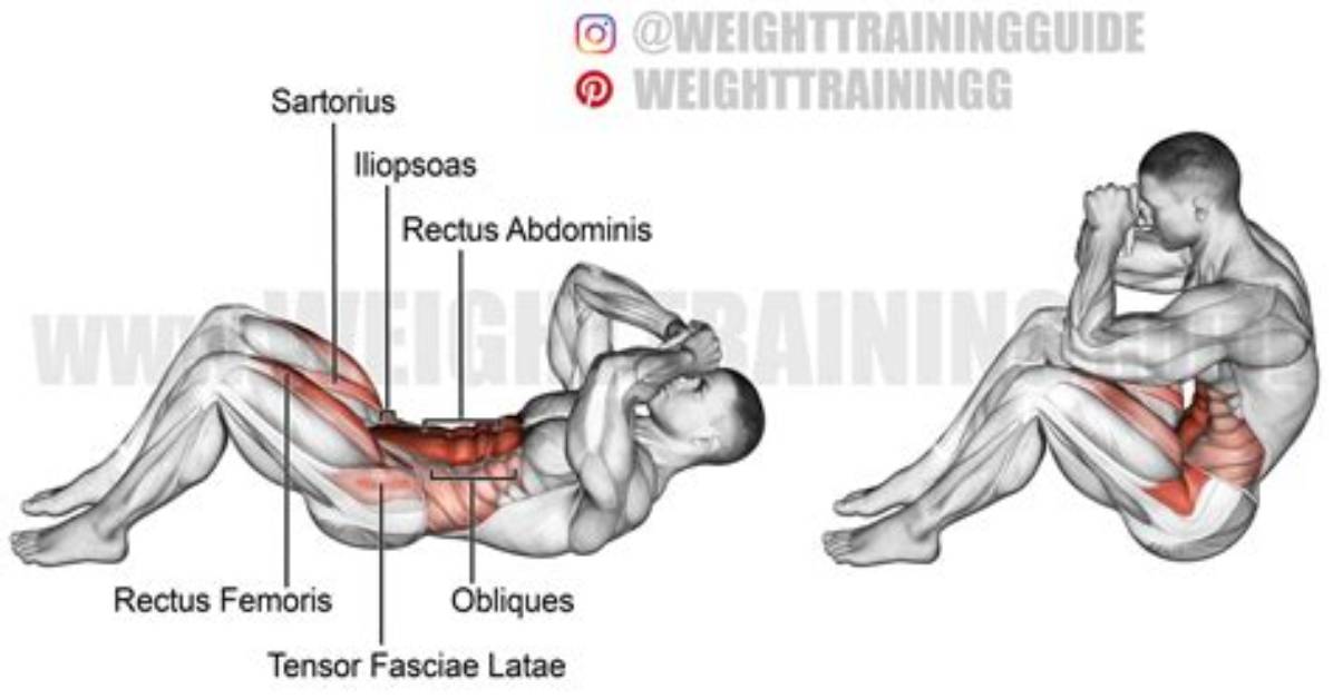 Does Sit Ups Work?