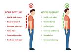 Does Slouching Decrease Height?