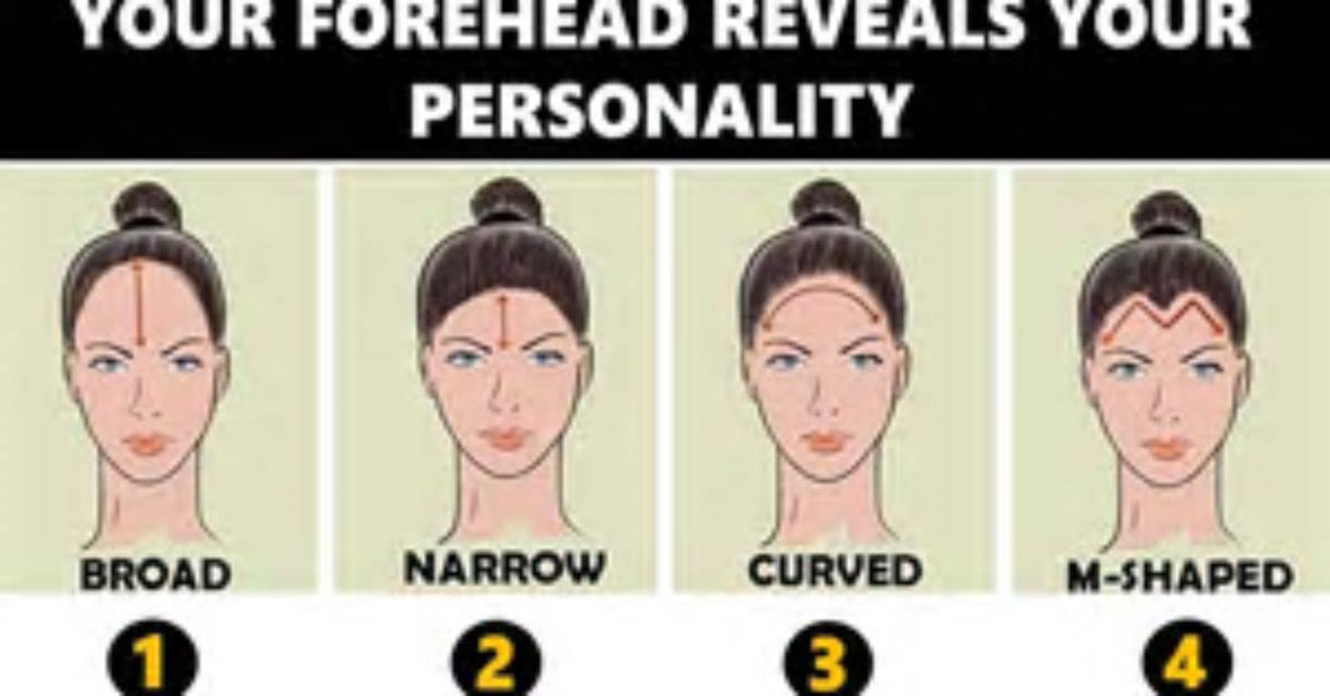 Does Small Forehead Mean Small Brain?