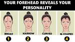Does Small Forehead Mean Small Brain?
