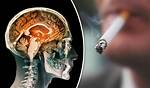 Does Smoking Cause Brain Damage?