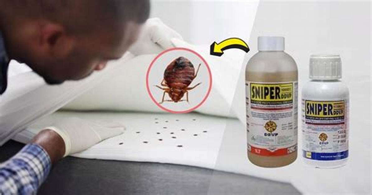 Does Sniper Kill Bed Bugs?
