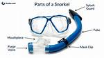 Does Snorkel Increase Power?