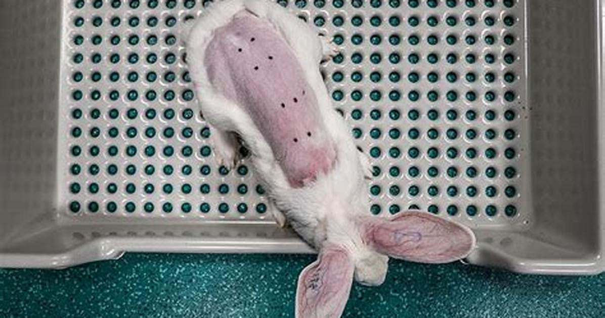 Does So. .. Test on Animals?