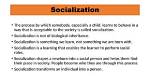 Does Socialisation Take Place?