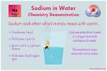 Does Sodium React with Water?