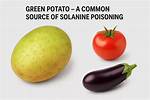 Does Solanine Cook out?