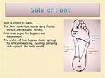Does Sole Mean Single?