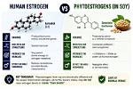 Does Soya Chunks Increase Estrogen?