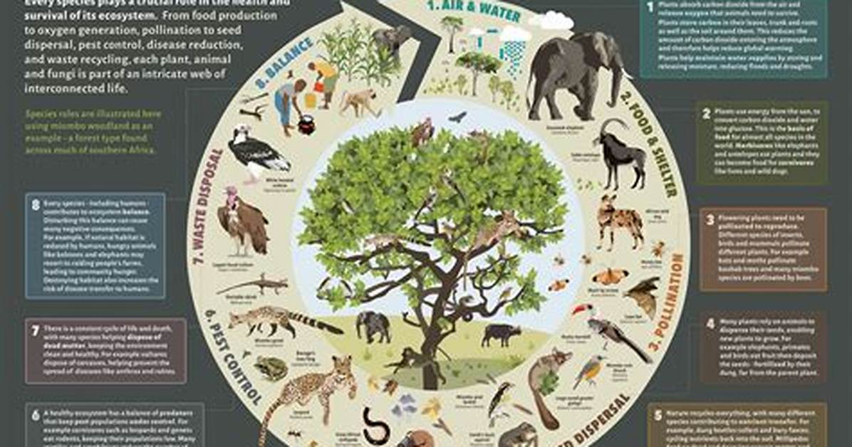 Does Species Include Plants?