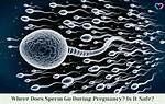 Does Sperm Help Pregnancy?