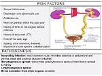 Does Spermicide Cause Uti?