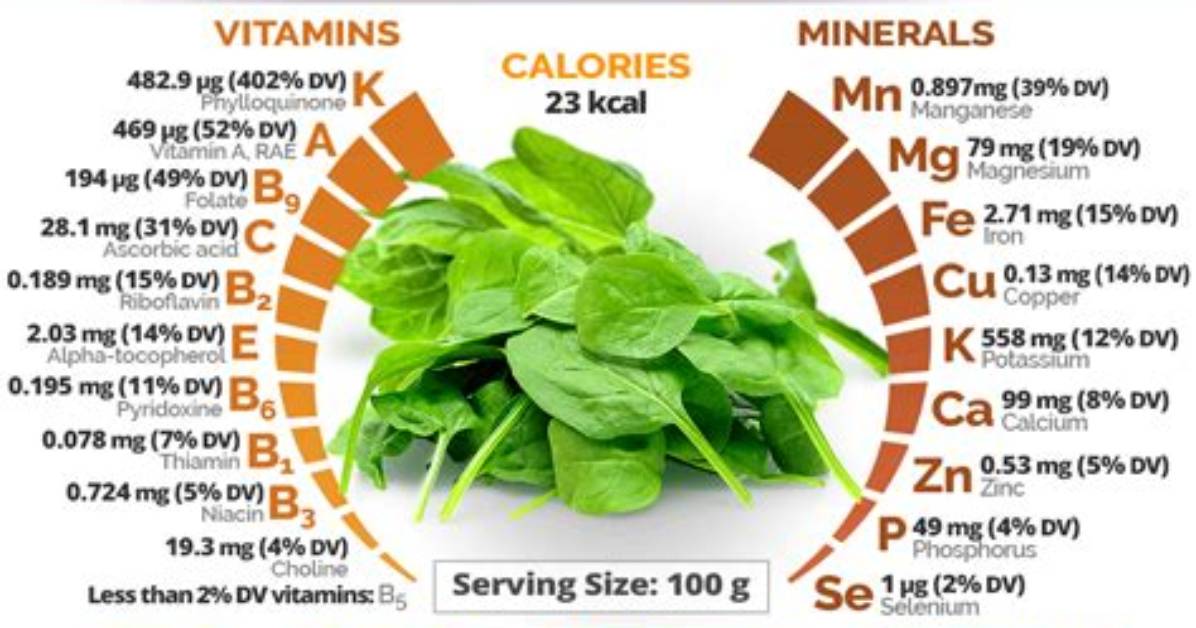 Does Spinach Contain Phytates?