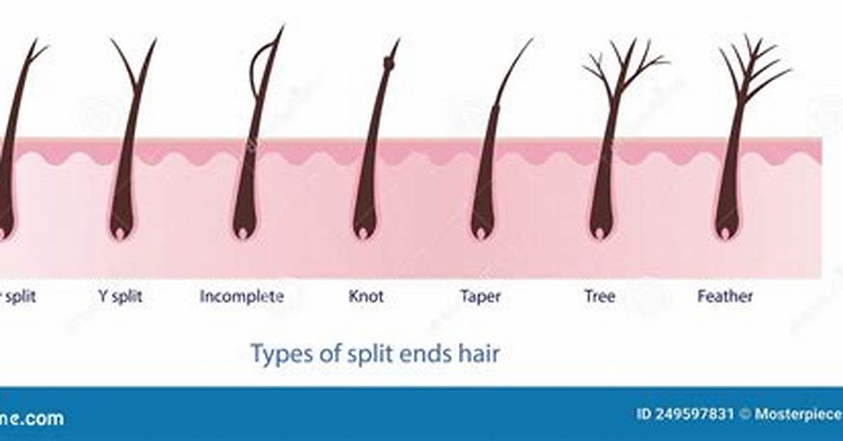 Does Split Mean Half?