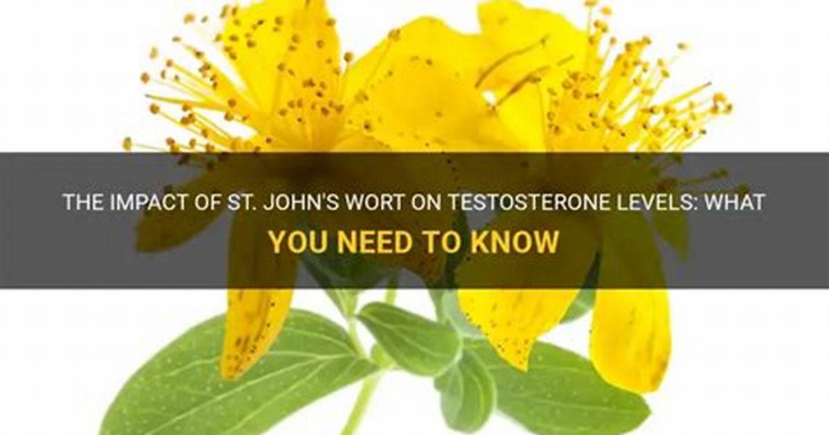 Does St Johns Wort Affect Testosterone