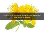 Does St Johns Wort Affect Testosterone