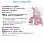 Does Staphylococcus Cause Endocarditis?