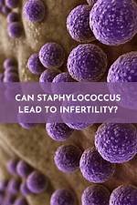 Does Staphylococcus Cause Infertility?