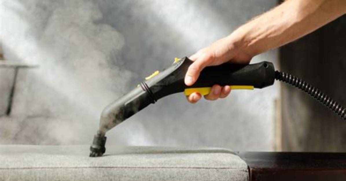 Does Steam Kill Mould?