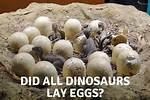 Does Stegosaurus Lay Eggs?