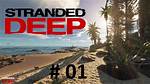 Does Stranded Deep Have Multiplayer?