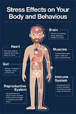 Does Stress Affect Chronically Ill?