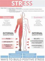 Does Stress Cause Relapses?