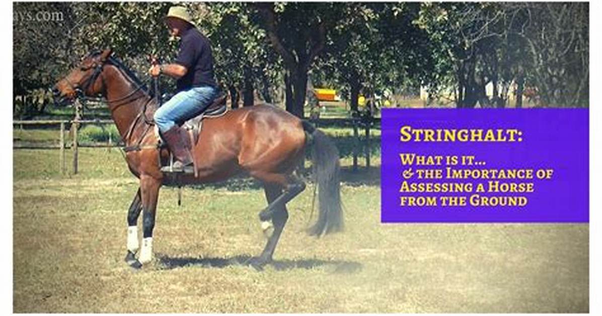 Does Stringhalt Go Away?